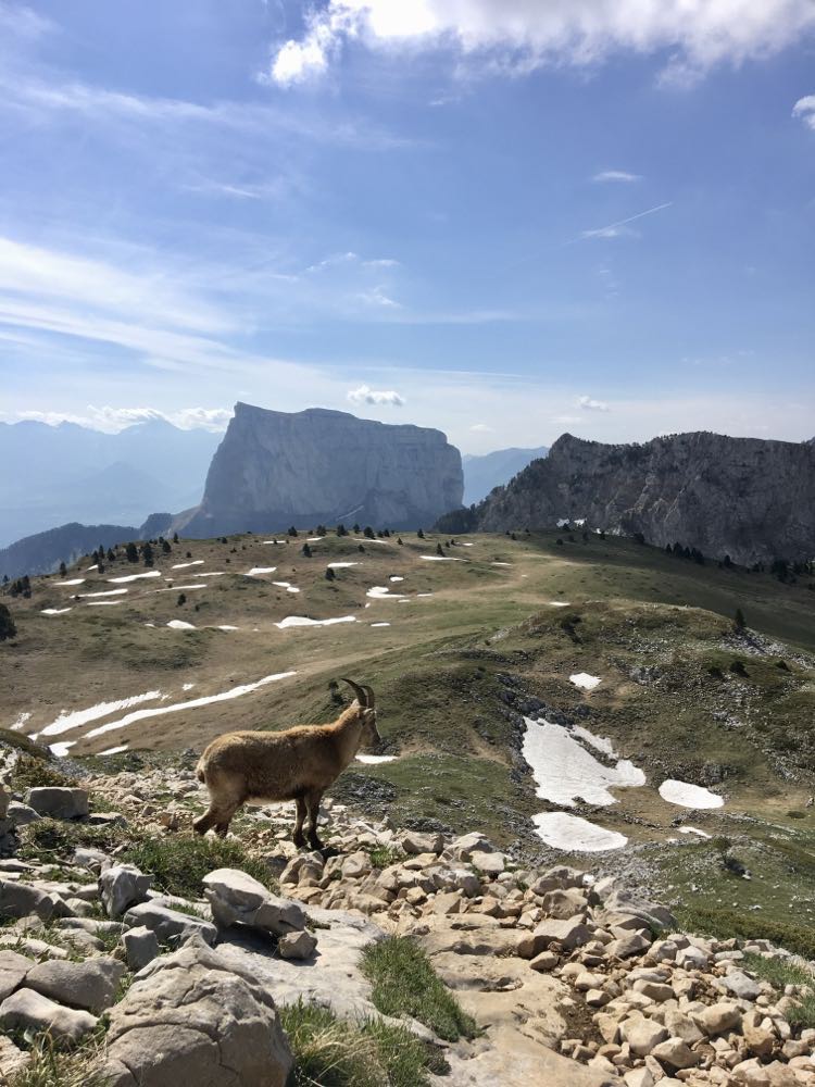 Vercors